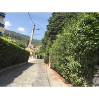 照片 法国(France) 旺斯(Vence) 2017-08 0