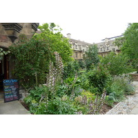 照片 英国(United Kingdom) 剑桥(Cambridge) 2011-07 19