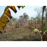 照片 泰国(Thailand) 邦玛帕(Pang Mapha) 2007-02 130