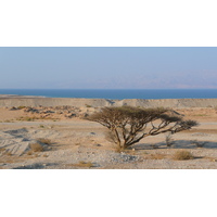 照片 以色列(Israel) 死海(Dead Sea) 2007-06 152