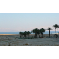 照片 以色列(Israel) 死海(Dead Sea) 2007-06 186