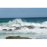 照片 南非(South Africa) 齐齐卡马国家公园(Tsitsikamma National Park) 2008-09 365