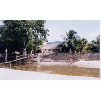照片 泰国(Thailand) 普吉岛(Phuket) 1998-02 1