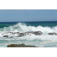 照片 南非(South Africa) 齐齐卡马国家公园(Tsitsikamma National Park) 2008-09 338