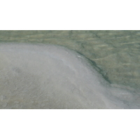 照片 以色列(Israel) 埃因博克(Boqeq) 2007-06 112