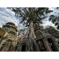 照片 柬埔寨(Cambodia) 暹粒(Siem Reap) 塔布茏寺(Ta Prohm) 2023-01 59