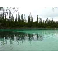 照片 新喀里多尼亚(New Caledonia) 松树岛(Ile des pins) 奥罗湾(Oro Bay) 2010-05 23