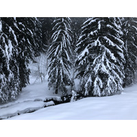 照片 法国(France) 拉克吕萨(La Clusaz) 2017-12 220