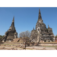 照片 泰国(Thailand) 大城(Ayutthaya) 2011-12 34
