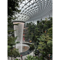 照片 新加坡(Singapore) 新加坡樟宜机场(Singapore Changi Airport) 2023-01 49