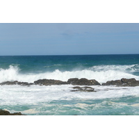 照片 南非(South Africa) 齐齐卡马国家公园(Tsitsikamma National Park) 2008-09 415