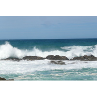 照片 南非(South Africa) 齐齐卡马国家公园(Tsitsikamma National Park) 2008-09 452