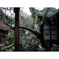 照片 中国(China) 上海(Shanghai) 2002-01 134