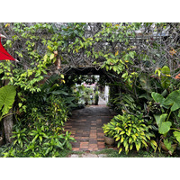照片 泰国(Thailand) 兰塔岛(Ko Lanta) 2023-01 55