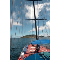 照片 塞舌尔(Seychelles) 海星(Sea Star) 2011-10 31