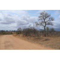 照片 南非(South Africa) 克鲁格国家公园(Kruger National Park) 鳄鱼河公路(Crocodile River road) 2008-09 14