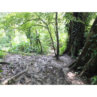 照片 巴拿马(Panama) 巴斯蒂门托斯岛(Bastimentos) 2015-03 34