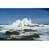 照片 南非(South Africa) 齐齐卡马国家公园(Tsitsikamma National Park) 2008-09 379