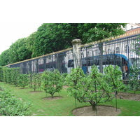 照片 法国(France) 巴黎(Paris) 卢森堡公园(Luxembourg Garden) 2007-04 24