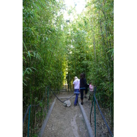 照片 法国(France) 尼斯(Nice) 凤凰公园(Phoenix Parc) 2007-10 70