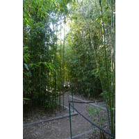 照片 法国(France) 尼斯(Nice) 凤凰公园(Phoenix Parc) 2007-10 63