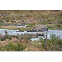 照片 南非(South Africa) 克鲁格国家公园(Kruger National Park) 鳄鱼河(Crocodile River) 2008-09 16