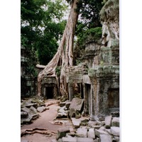 照片 柬埔寨(Cambodia) 吴哥(Angkor) 1996-06 27