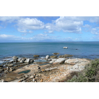 照片 南非(South Africa) 好望角(Cape of Good Hope) 2008-09 76