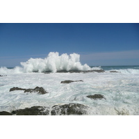 照片 南非(South Africa) 齐齐卡马国家公园(Tsitsikamma National Park) 2008-09 439