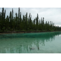 照片 新喀里多尼亚(New Caledonia) 松树岛(Ile des pins) 奥罗湾(Oro Bay) 2010-05 42