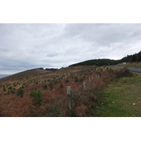 照片 法国(France) 巴斯克地区(Basque Country) 2013-01 94