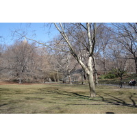 照片 美国(United States) 纽约(New York) 中央公园(Central Park) 2006-03 50