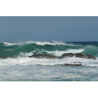照片 南非(South Africa) 齐齐卡马国家公园(Tsitsikamma National Park) 2008-09 223