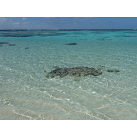 照片 新喀里多尼亚(New Caledonia) 利富岛(Lifou) 穆(Mu) 2010-05 1