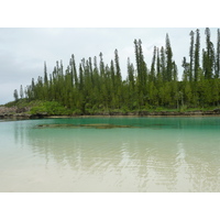 照片 新喀里多尼亚(New Caledonia) 松树岛(Ile des pins) 奥罗湾(Oro Bay) 2010-05 66