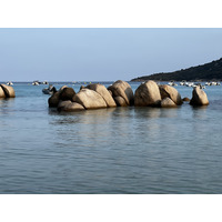 照片 法国(France) 科西嘉岛(Corsica) 圣朱莉亚海滩(Santa Giulia Beach) 2023-06 16