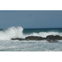 照片 南非(South Africa) 齐齐卡马国家公园(Tsitsikamma National Park) 2008-09 214