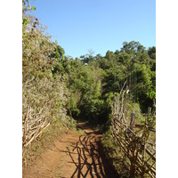 照片 泰国(Thailand) 邦玛帕(Pang Mapha) 2005-12 138