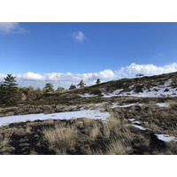 照片 意大利(Italy) 西西里岛(Sicily) 埃特纳火山(Etna) 2020-02 16