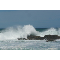 照片 南非(South Africa) 齐齐卡马国家公园(Tsitsikamma National Park) 2008-09 203
