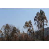 照片 南非(South Africa) 内尔斯普雷特至约翰内斯堡公路(Nelspruit to Johannesburg road) 2008-09 119