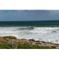 照片 南非(South Africa) 好望角(Cape of Good Hope) 开普角(Cape Point) 2008-09 43