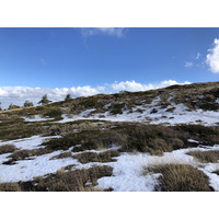 照片 意大利(Italy) 西西里岛(Sicily) 埃特纳火山(Etna) 2020-02 27