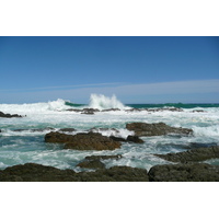 照片 南非(South Africa) 齐齐卡马国家公园(Tsitsikamma National Park) 2008-09 259