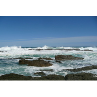照片 南非(South Africa) 齐齐卡马国家公园(Tsitsikamma National Park) 2008-09 288
