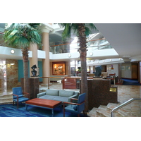 照片 南非(South Africa) 开普敦(Cape Town) 丽笙酒店(Radisson Hotel) 2008-09 47