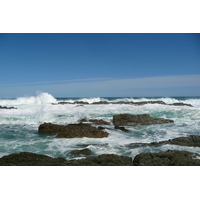 照片 南非(South Africa) 齐齐卡马国家公园(Tsitsikamma National Park) 2008-09 162