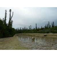照片 新喀里多尼亚(New Caledonia) 松树岛(Ile des pins) 奥罗湾(Oro Bay) 2010-05 61