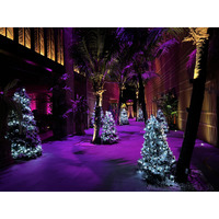 照片 泰国(Thailand) 普吉岛(Phuket) 卡马拉海滩(Kamala Beach) 2021-12 5