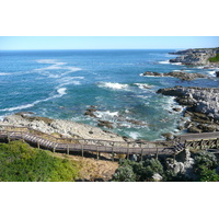照片 南非(South Africa) 赫曼努斯(Harmanus) 2008-09 245